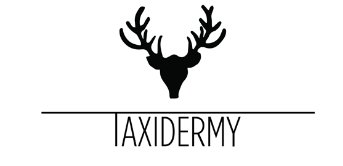 Shop Taxidermy Logo