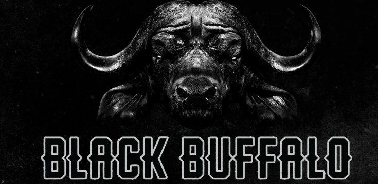 Black Buffalo Logo
