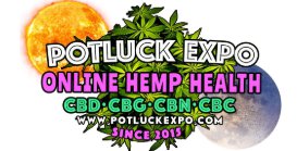 Potluck Expo Logo