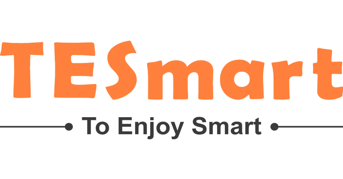 TeSmart Logo