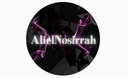 AlielNosirrah Store Logo