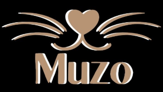 Muzo Logo