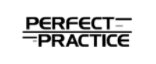 Perfect Practice Golf Logo