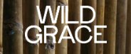 WILD GRACE Logo