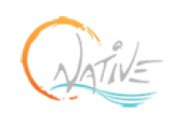 Natural Native Logo