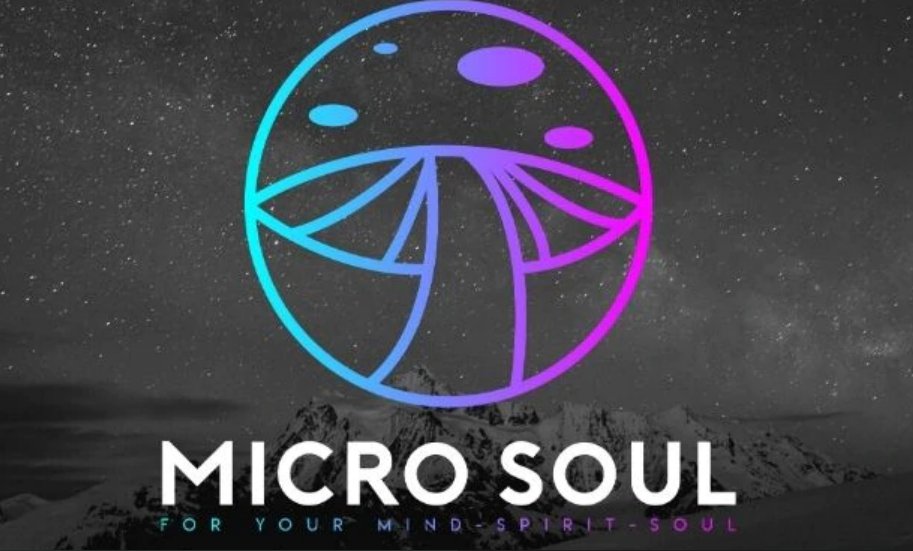 Micro Soul Logo
