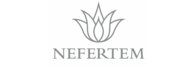 NefertemOnline.co.uk Logo
