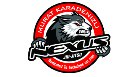 Nexus BJJ Logo